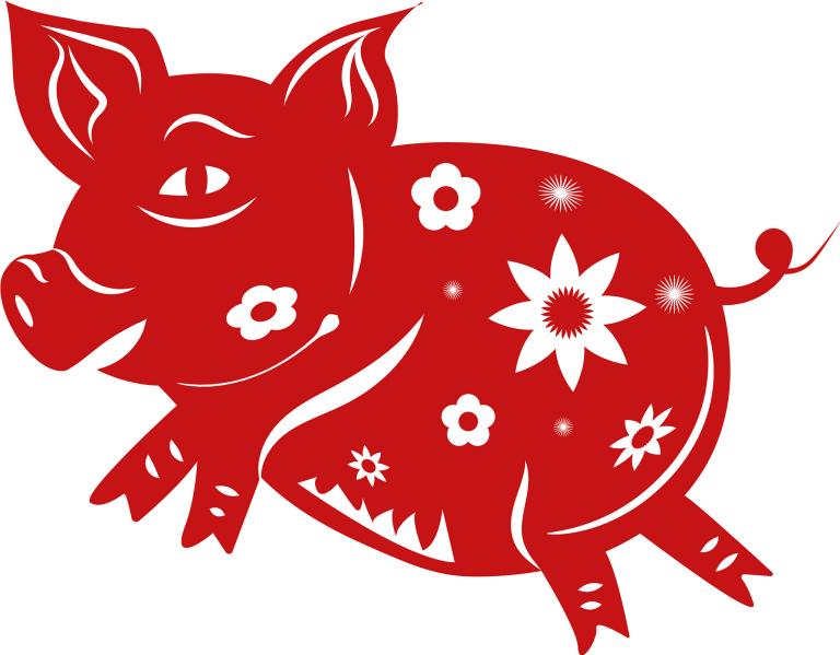 1983属猪的女人三大坎(如何应对)