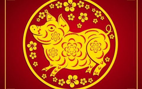 1995属猪人的命运资料(探究财运、事业、婚姻、健康等方面的预测)