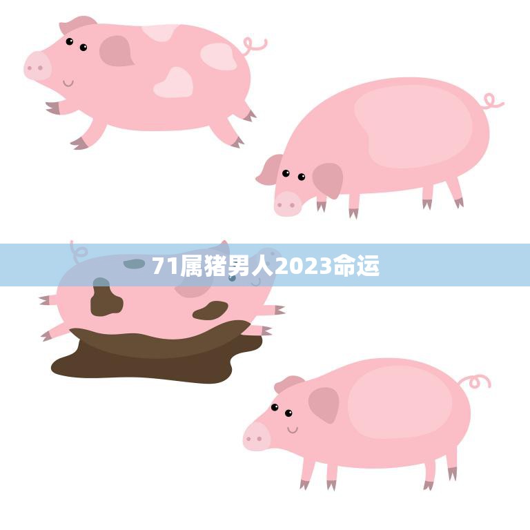 71属猪男人2023命运(未来前景如何)