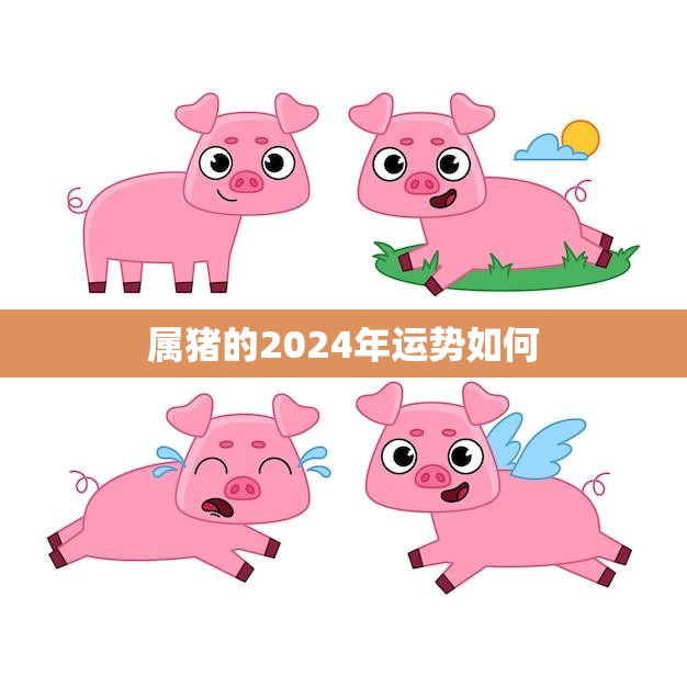 属猪的2024年运势如何(猪年大展宏图财运亨通)