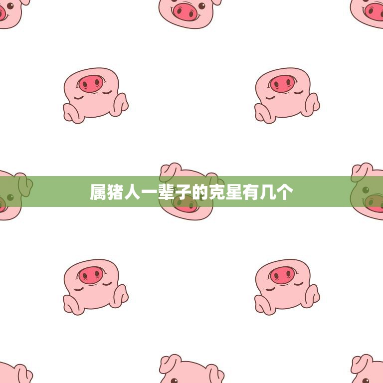 属猪人一辈子的克星有几个(揭秘猪年生肖的命运瓶颈)