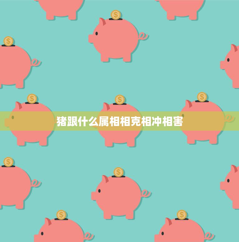 猪跟什么属相相克相冲相害(解析猪年与其他属相的关系)