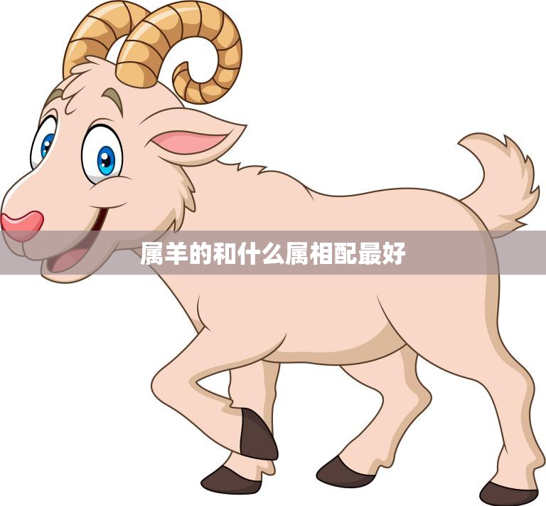 属羊的和什么属相配最好(最佳配对大揭秘)