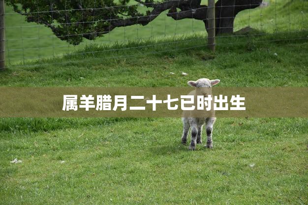 属羊腊月二十七已时出生(幸运之星闪耀天际)