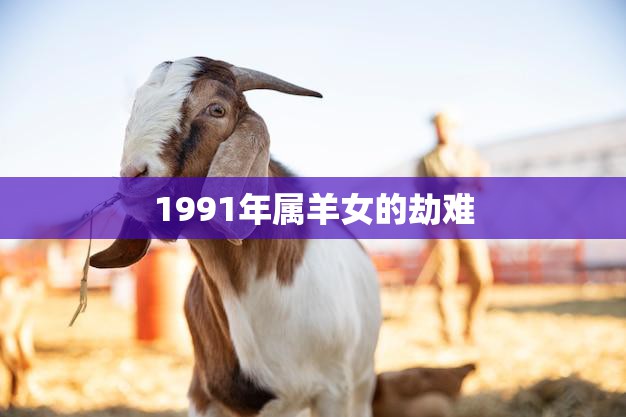 1991年属羊女的劫难(生命中的转折点)