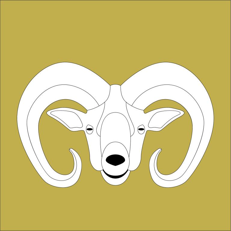 属羊的最佳婚配对象男士(如何选择)