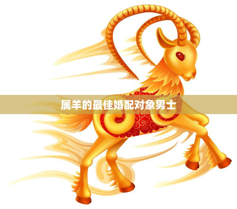 属羊的最佳婚配对象男士(如何选择)