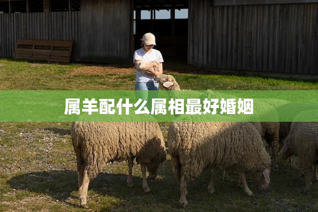 属羊配什么属相最好婚姻(如何选择最佳配偶)