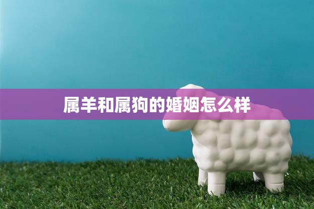 属羊和属狗的婚姻怎么样(幸福还是坎坷不平)
