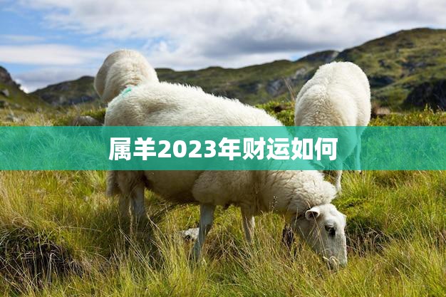 属羊2023年财运如何(预测财源滚滚财富不断涌现)