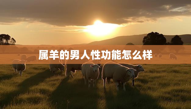 属羊的男人性功能怎么样(探究羊年男性的性能力如何)