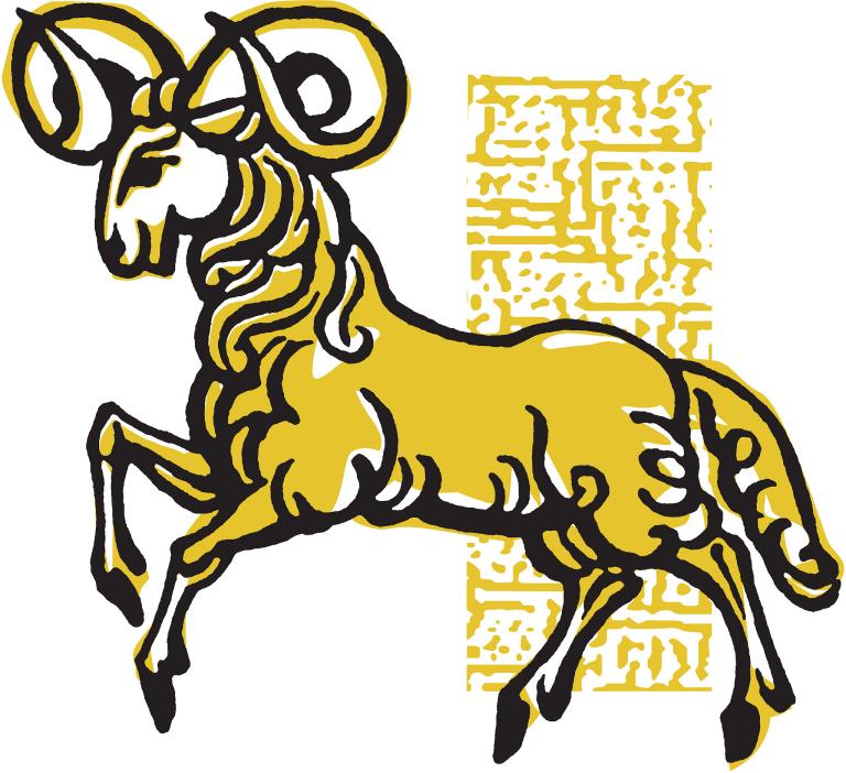 属羊的2023年多大了(你的生肖年龄将迈入第二个周期)