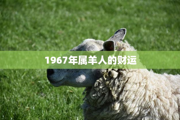 1967年属羊人的财运(如何提高)