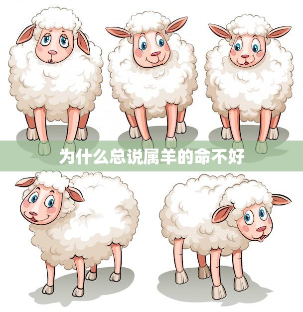 为什么总说属羊的命不好(探究历史、文化、心理因素)
