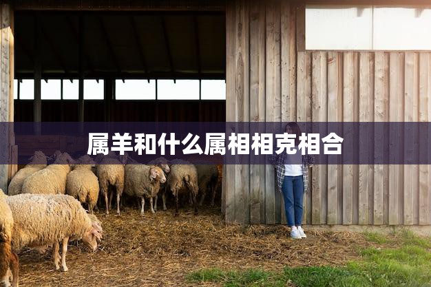 属羊和什么属相相克相合(属相配对大揭秘)