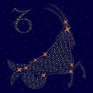 摩羯男最听哪个星座女的话(揭秘最佳搭配)