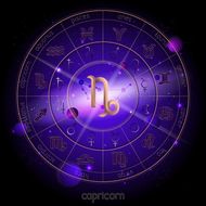 摩羯座座今日运势紫薇黄历(事业运佳财运亦旺)