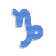 摩羯座明日运势2023男(财运旺盛事业有进展)