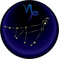 摩羯座和射手座适合结婚吗(星座专家揭秘)