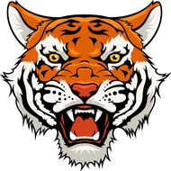 74年属虎人的财运方位(如何提升财富运)