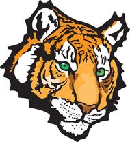 猪女虎男相配的姻缘好吗(解析星座专家告诉你)