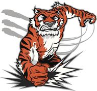 86女虎配什么属相最好(如何选择最佳配偶)