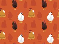 属鸡6月运势2023(好运连连财运亨通)