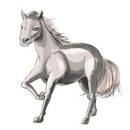 属马的最佳婚配年龄男孩(如何选择最佳结婚年龄)