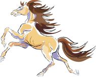 属马80多岁是哪一年的(马年长寿者的生肖年份推算)