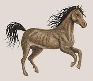 女马2023年运势(事业顺风顺水感情波折多舛)