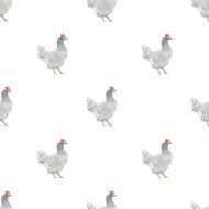 1969年属鸡人什么命(解析命运如何)