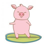 属猪的人2023年财运(财源滚滚财富自然来)