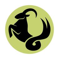 摩羯座女和什么座最配女生(星座配对大揭秘)