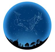 摩羯座2023年整年运势(事业财运双丰收)