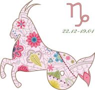 陶白白星座分析摩羯座运势(2023年摩羯座事业发展迎来转机)