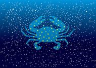 巨蟹男和什么星座最配排行(十二星座配对大揭秘)