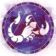 男的巨蟹座和什么星座最配(星座配对大揭秘)