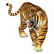 属虎里起名带山字好不好(如何选择适合的山字名字)