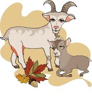 属羊配什么属相最好婚姻(如何选择最佳配偶)