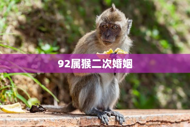92属猴二次婚姻(何时再婚最佳)
