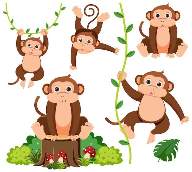 2023年属猴人幸运色(揭秘猴年红色、金色、绿色最吉祥)