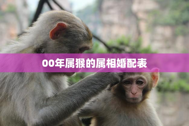 00年属猴的属相婚配表(十二生肖配对大揭秘)