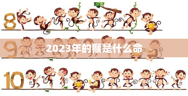 2023年的猴是什么命(猴年运势大揭秘)
