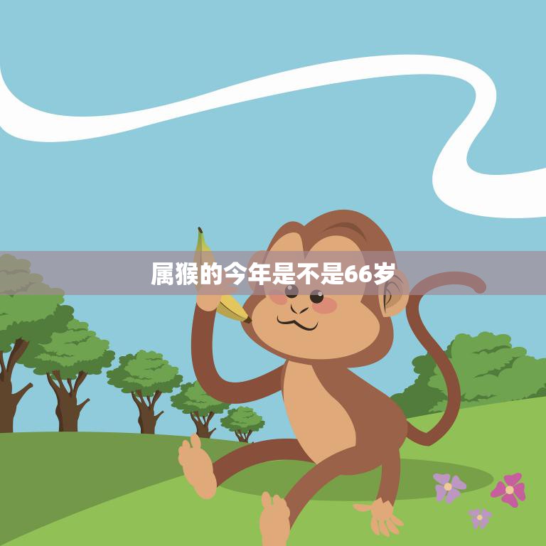 属猴的今年是不是66岁(解密猴年出生的人如何计算年龄)