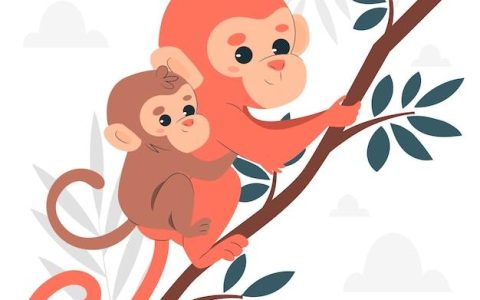 属猴子的人是什么星座的(揭秘猴年出生者的星座身份)