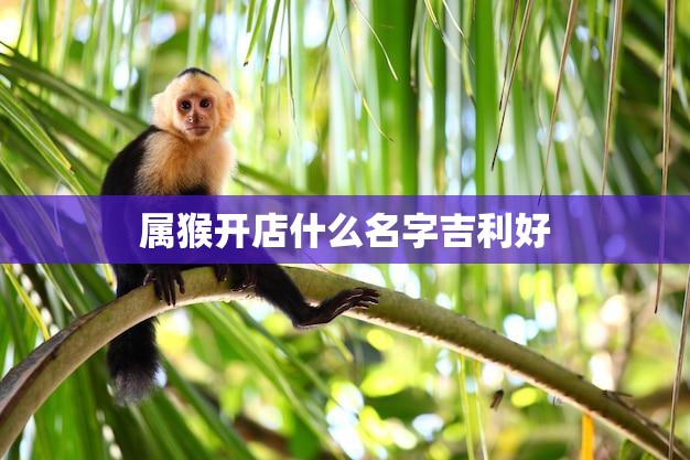 属猴开店什么名字吉利好(如何选取最佳店名)