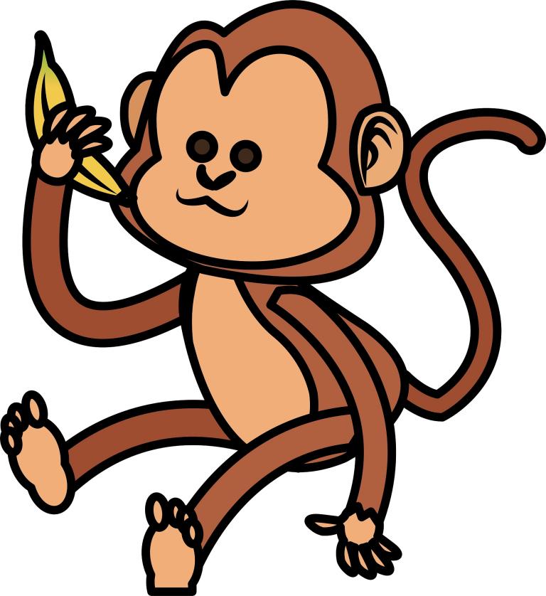 属猴子的都是哪年出生的(猴年生肖解析)