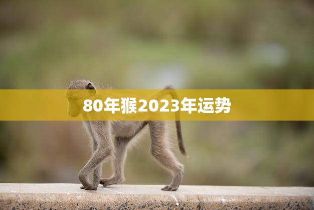 80年猴2023年运势(猴年大展宏图财运亨通)