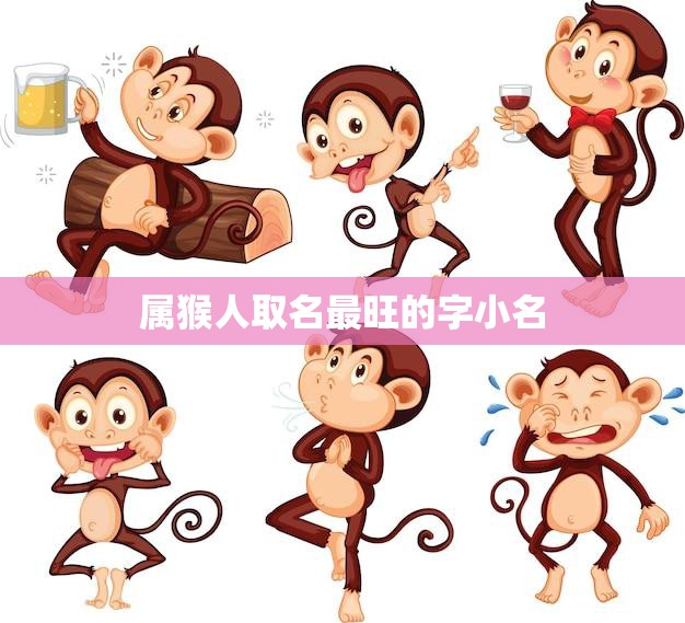 属猴人取名最旺的字小名(如何选)