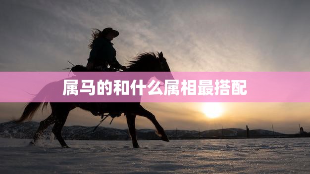 属马的和什么属相最搭配(完美配对星座专家揭秘)